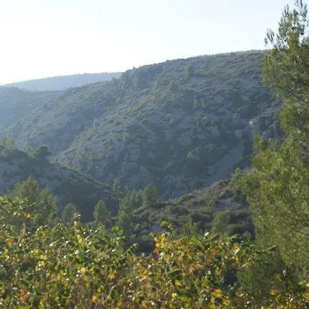 La Garrigue Bed & Breakfast Cassis