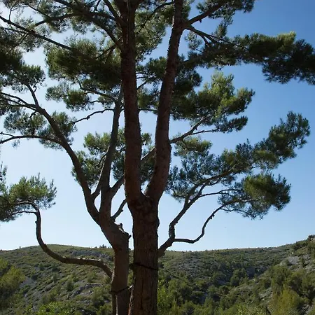 Bed and Breakfast La Garrigue